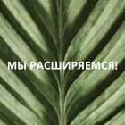 Наша косметика теперь в интернет-магазине профессора Юцковской Наша косметика теперь в интернет-магазине профессора Юцковской
